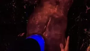 Nena caliente de instagram con un culo espléndido chupa y folla en pov